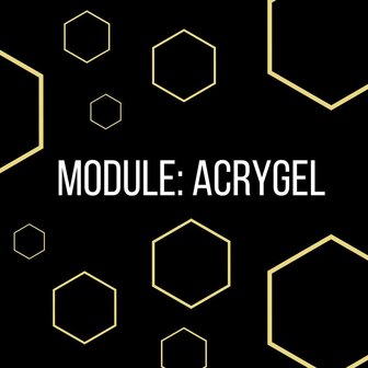 Golden Tribe Opleiding: Module Acrygel (weekend ochtend september 2025)