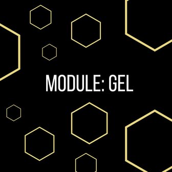 Golden Tribe Opleiding: Module Gel (woensdag avond september 2025)